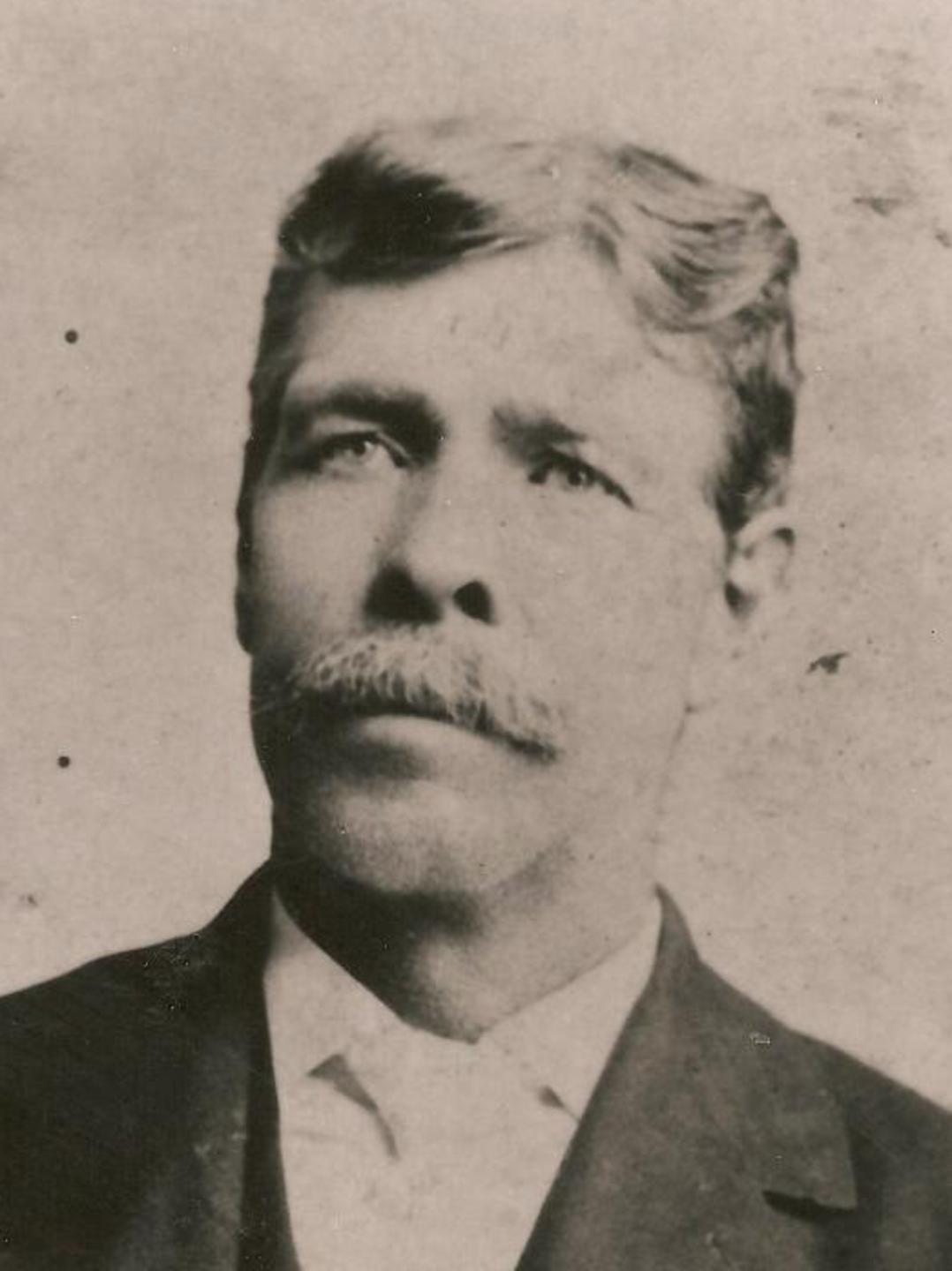 David Cook Adams (1845 - 1904) Profile